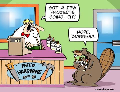 11214325_1141694039192372_4913287221432469261_n