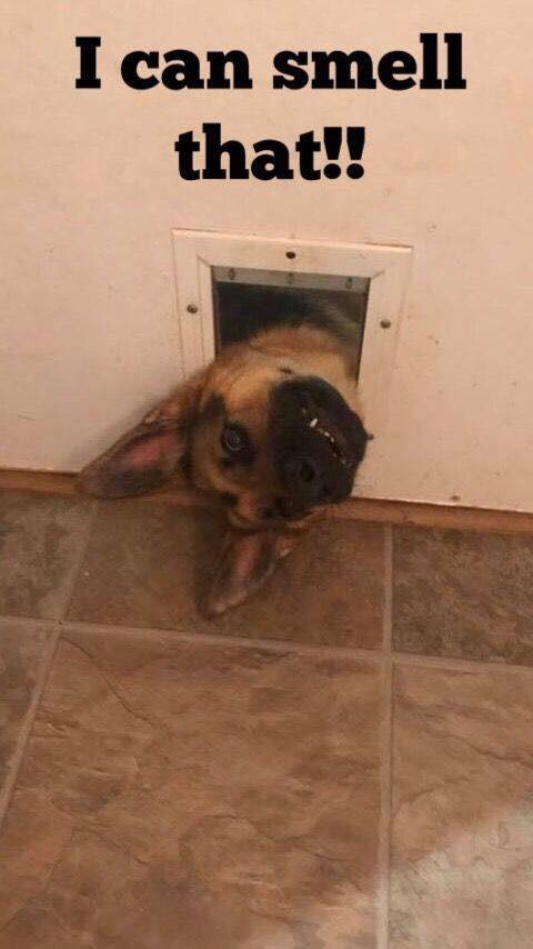 40519020_1406672496133280_2831861226051469312_n