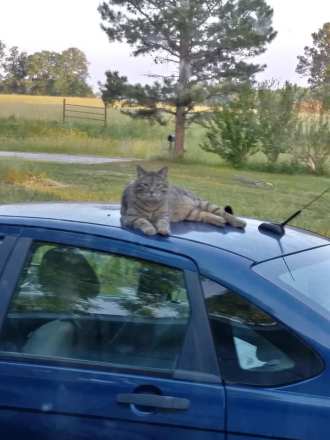 41772096_10156678756329299_2380894096672686080_n