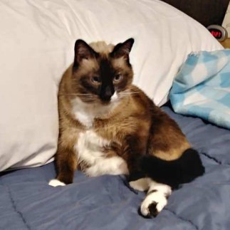 41782934_10156678755634299_1706649604897898496_n