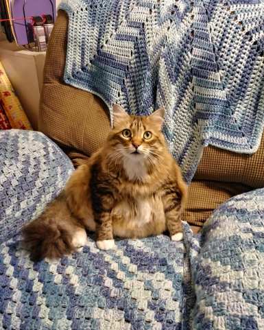 41801501_10156678756119299_7848422459874213888_n