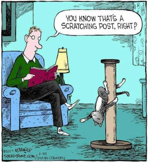 42058561_2090555817671262_8492154352926982144_n