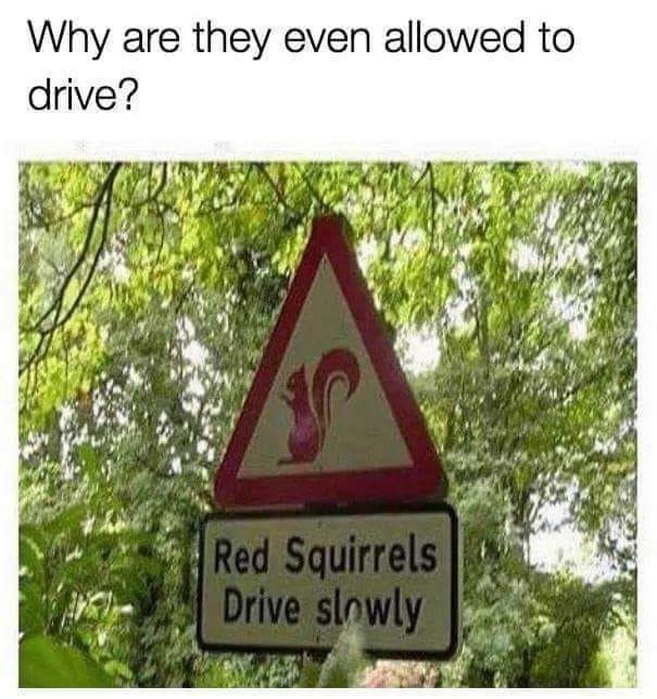 42584799_2413400288687061_8702566106428080128_n