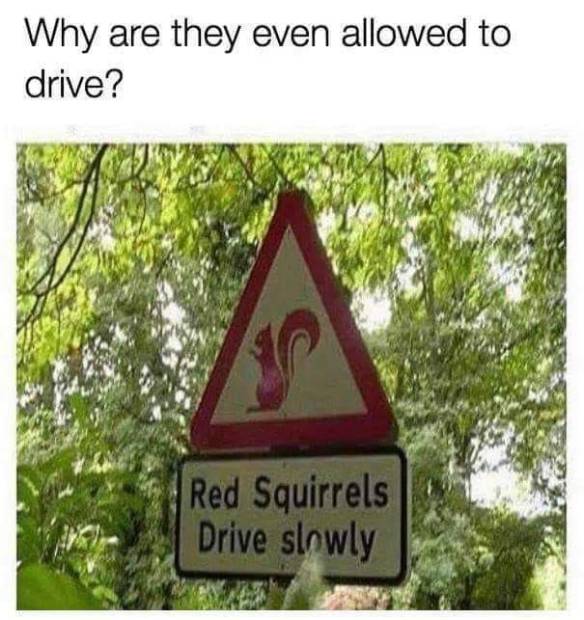 42584799_2413400288687061_8702566106428080128_n