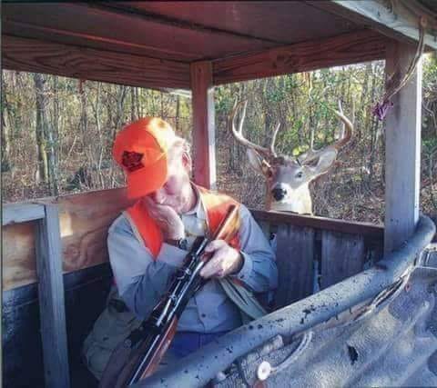 42641372_2414616911898732_5254089048598773760_n