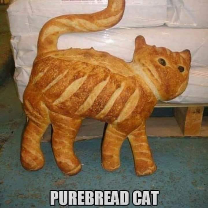 42777362_752269055149579_543066282065395712_n