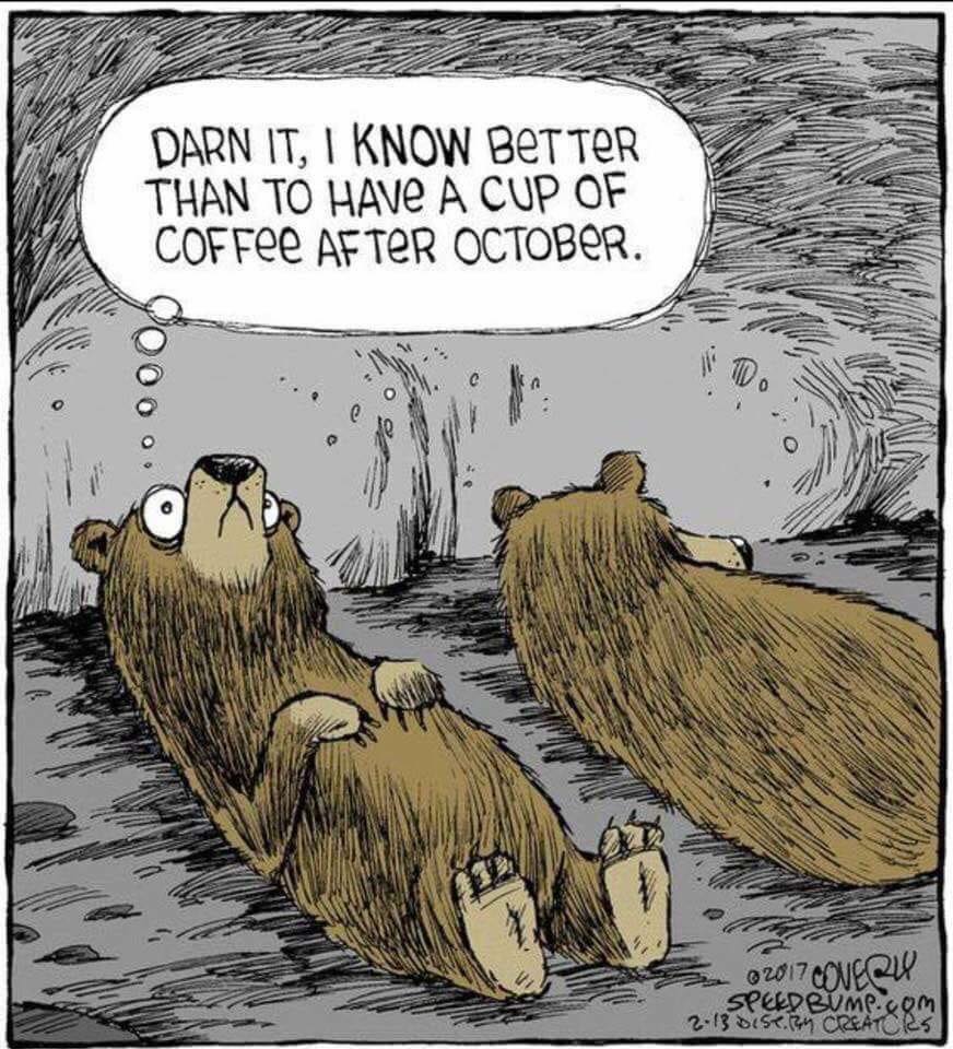 43055715_818277068534526_7832275259741962240_n