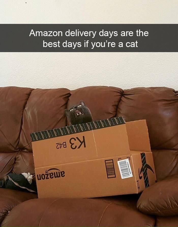 43199601_1535146006585841_9023774512788799488_n