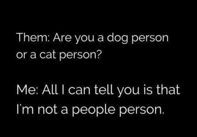 43213609_338131320254920_6226304176503128064_n