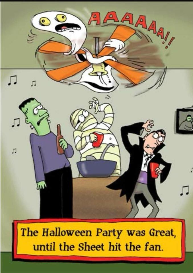 43439937_2117093125017531_2017481971566903296_n