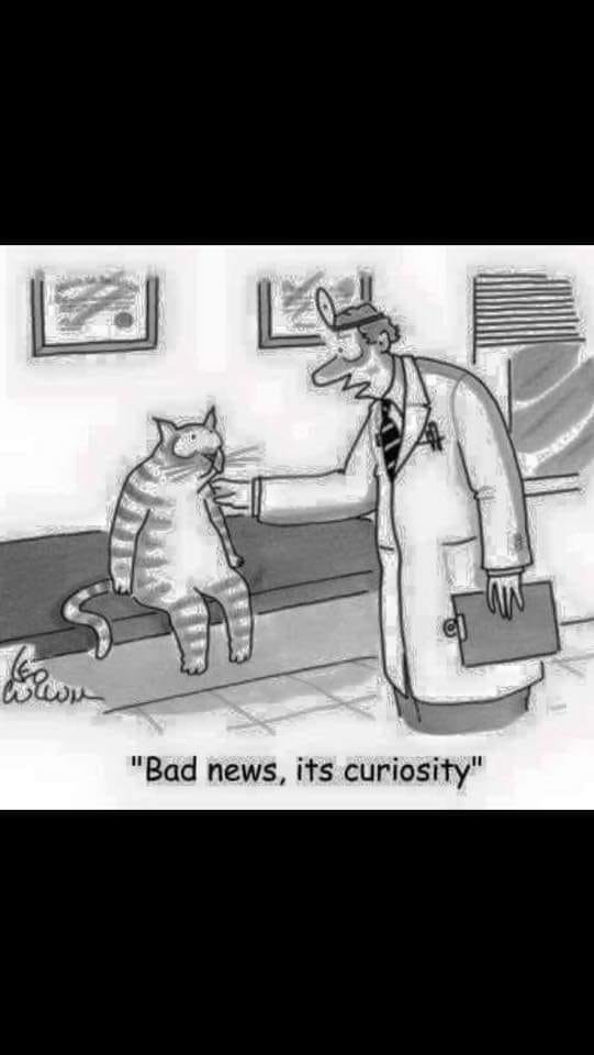 44140289_1272004756294082_7528217830320242688_n