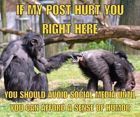 44172507_1912351552404630_1458859300775526400_n