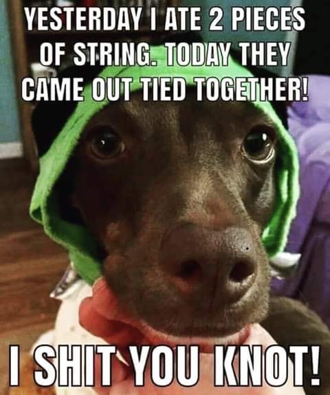 44490391_1915142828792169_5691927558170345472_n