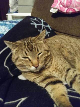 a145118411_10156784110009299_7841070914677506048_n