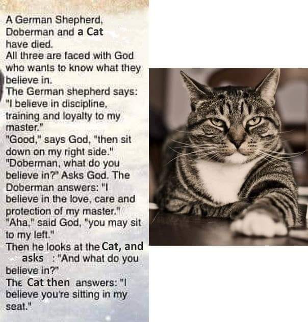 44898796_715486818830378_3485789461659254784_n