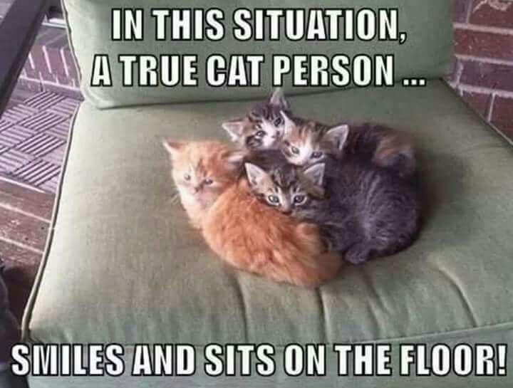 45130771_2221556894789970_3429823250358599680_n