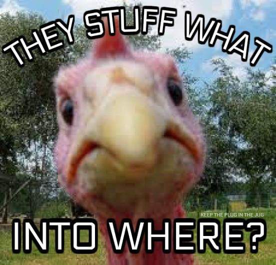 45244296_1283921128435778_4443981727500599296_n