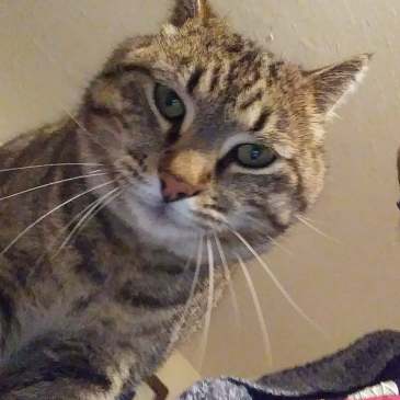 31046376_10156330787054299_2440345390300430700_n