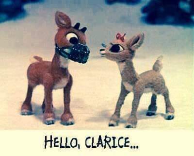 47305059_1178298365657223_5912238146136834048_n