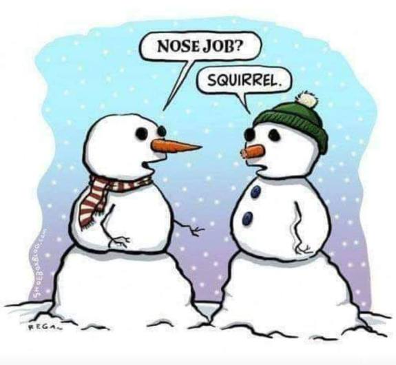 47322265_2135260203205005_989370618853982208_n