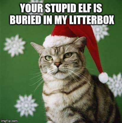 47426537_2168039620179481_4485531589014454272_n