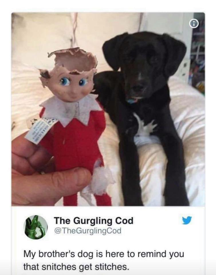 47434113_2168072023509574_7788931798410461184_n