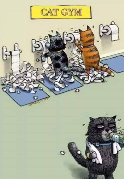 49348760_1992081984212350_1370403199478923264_n