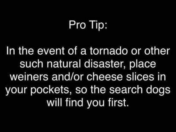49938365_2575026409191114_7988532320363610112_n