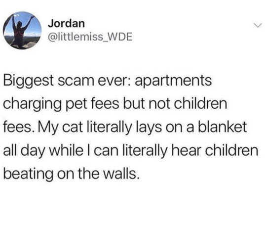 51155567_2545008008848026_5810804088190795776_n