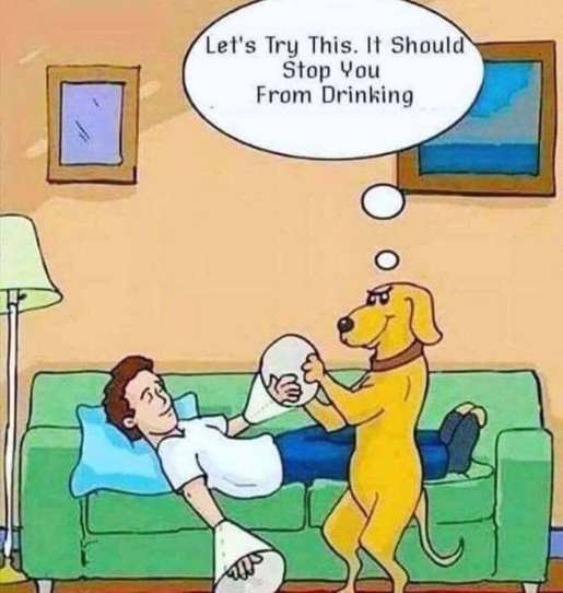 51951479_2246772522034580_6506721083725447168_n