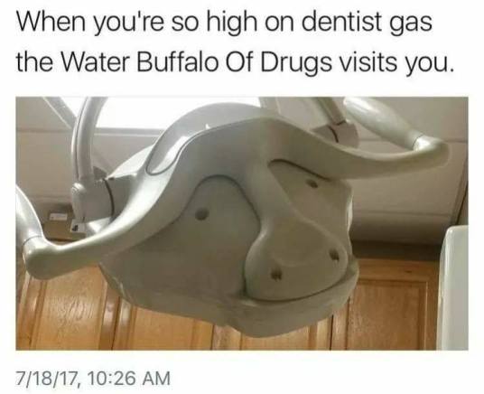 52599180_365025481000671_6815019965150658560_n