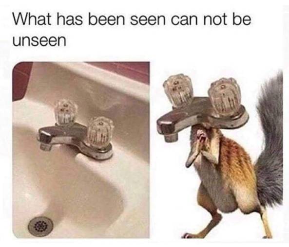 53050704_1973296346130173_7960104627616088064_n