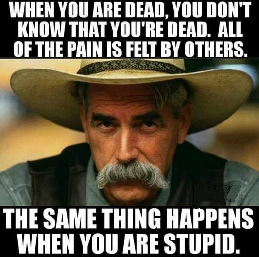 53201014_10156906147978605_3471842835265748992_n