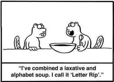 53599748_373312746838611_7497116468891353088_n