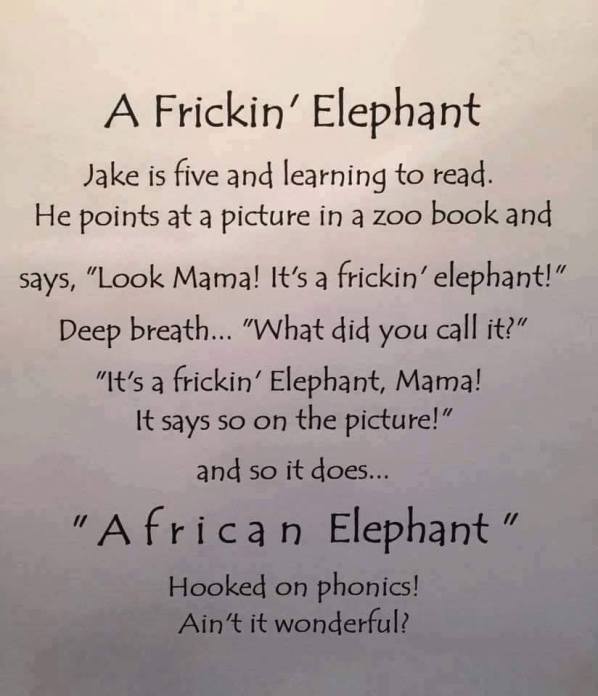 53681241_2178212465577281_1592507498932207616_n