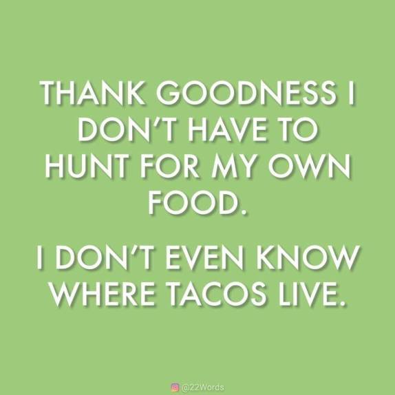 53711505_2177156285682899_3834268165865472000_n