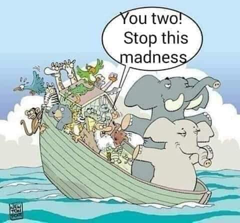 55576017_2181281901937166_118057471167168512_n