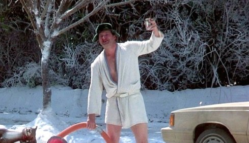 cousin-eddie-vacation