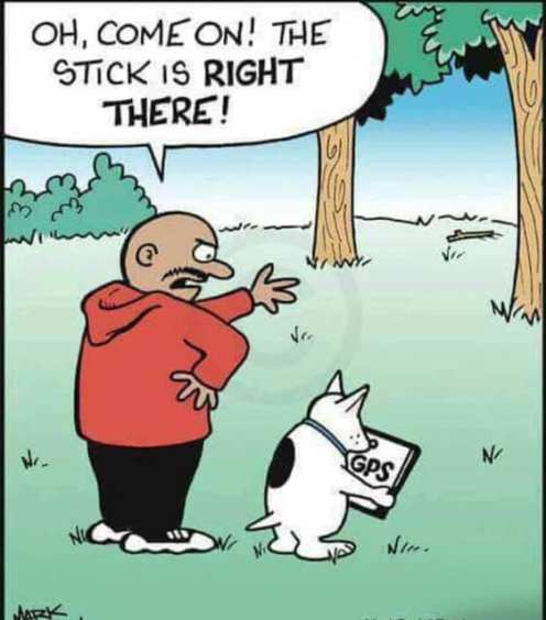 57502857_2311653008920563_6617160541334929408_n