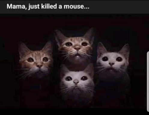 54522704_2348831668481715_8105648154310868992_n