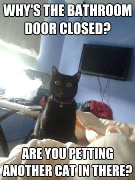 57366628_1075025386015513_7755660855726833664_n