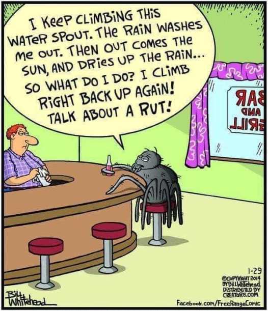 57382316_2226216677443688_5207469257364865024_n