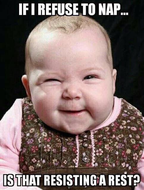 57649295_913107879033799_8202702586860535808_n