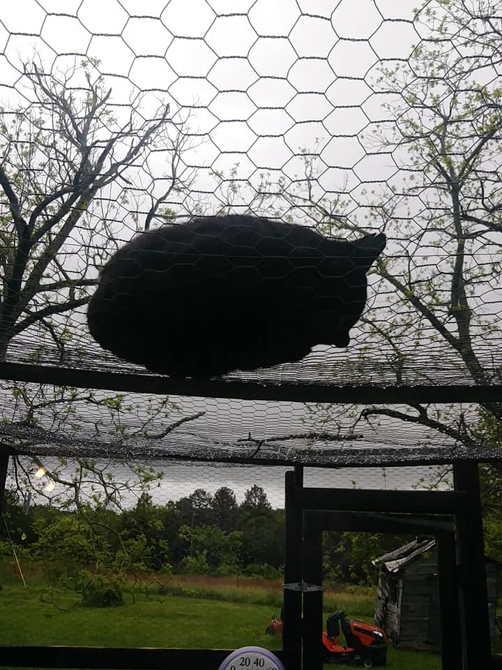 59660934_10157232900804299_6083337424027516928_n