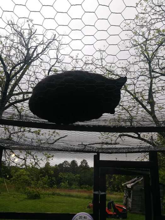 59660934_10157232900804299_6083337424027516928_n