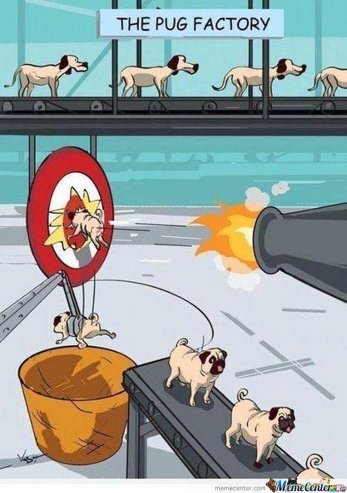 59695632_1591269801006881_3267757534231920640_n