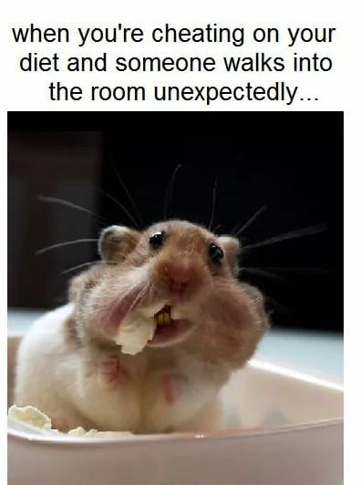 61598214_698804197220003_4875576982416392192_n