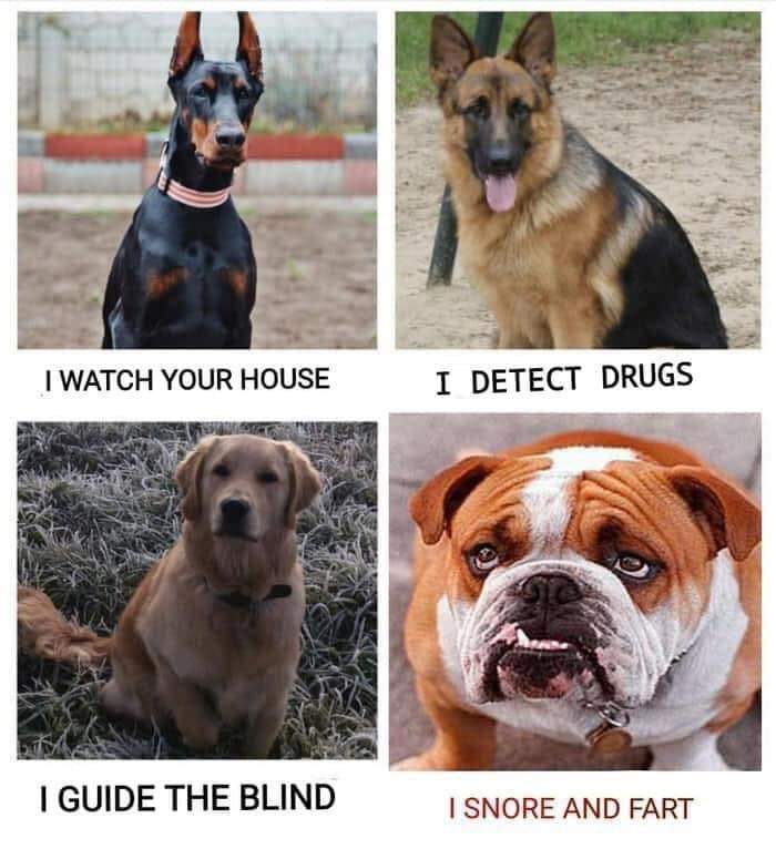 61768225_699543017146121_6207517749032255488_n