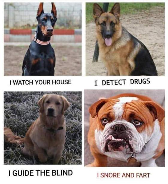 61768225_699543017146121_6207517749032255488_n