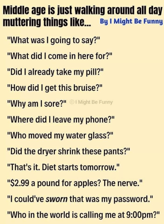 61950392_2499539843439522_664646919200440320_n